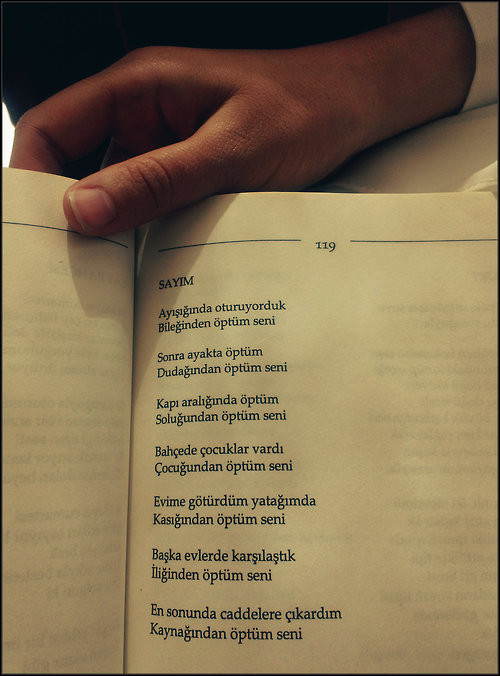DOĞMAMIŞ ŞAİRE MEKTUP